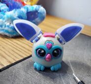 Ooh-Koo without its fur