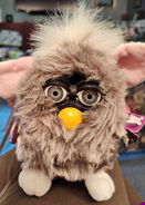 Bandit Owl Furby (unconfirmed)