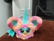 Front view