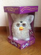 English-speaking Champagne Furby (with Dutch box)