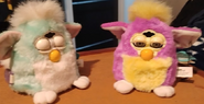 A Mint Green Furby Baby next to a Springtime Furby Baby