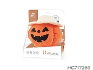 HC717289.jpg (22 KB) Pumpkin version.