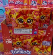 Luck-Ee's retail display case