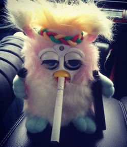 Boomi (Furby Fake) | Official Furby Wiki