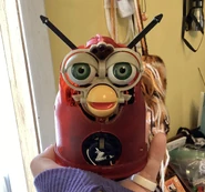 5995F033-AAFE-410B-AC4F-BF1910BBD95F.jpg (1.12 MB) A skinned Poopi with a red shell