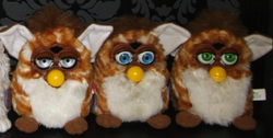 Gold hotsell stripes furby