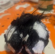 Goal-Ee with its ears closed