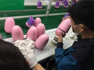 Fuzzy Wonderz in a factory being put into eggs.