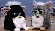 Skunk Furby with a Church Mouse Furby (right)