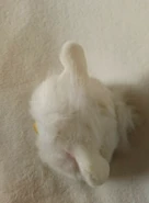 Screenshot (224).png (148 KB)