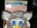 Boomi (Furby Fake)