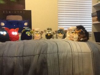 Furby collection