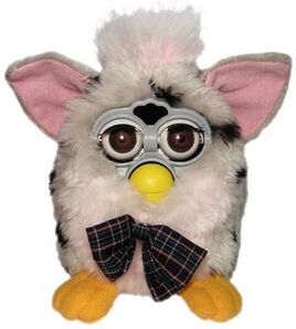Furdy