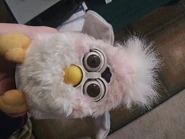 20200903 180206.jpg (4.08 MB)