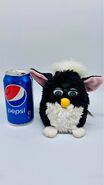 A Skunk Furby with a Pepsi can