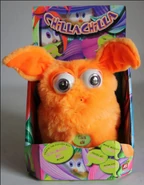 Orange Chilla Chilla in box