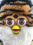 Close up of eyes