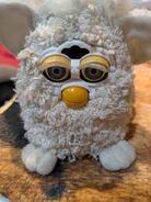 Curly Baby with yellowed eyelids