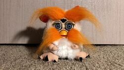 Papara (Furby Fake) | Official Furby Wiki | Fandom