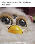 Furby Meme Featuring the Snowball Furby