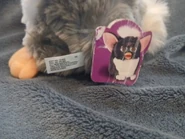 Church Mouse Furby's paper tag