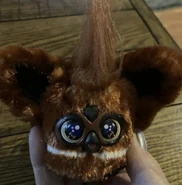 IMG 4153.jpeg (259 KB)