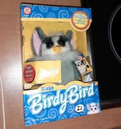 Grey Baby birdy bird in box