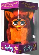 A Spanish Rooster Furby in its box