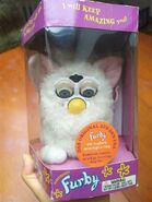 A Boxed English Snowball (Grey Eyes) (Imported Model)