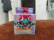 Pep-Mint's Boxe