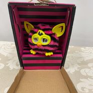 Inside of box