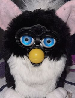 Skunk Furby | Official Furby Wiki | Fandom