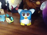 Blue Baby Bird.webp (576 KB)