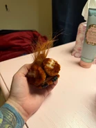 He is so closed.jpeg (164 KB)