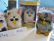 Fooby.png (219 KB) 3 Furdys and a Fooby in its box