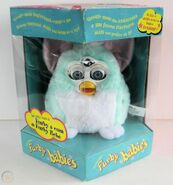 Portuguese Minty Green Furby Baby