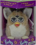 Bear Furby in its box