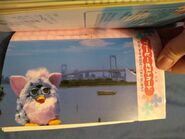 Post card from Furby Club 2