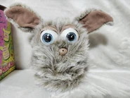 M64652745363 5.jpg (154 KB)