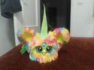 Front view