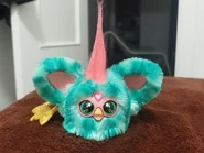 Front view