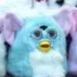 Category:1999 Furby Baby Prototypes | Official Furby Wiki | Fandom