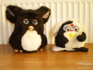 13735934-furby-slavna-elektronicka-hracka-dva-typy-5.jpg (394 KB) A 2005 Furby (with a damaged beak) and a Mow Gwai