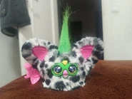 Front view