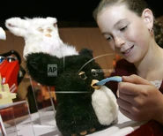 AP051006023504.jpg (169 KB)