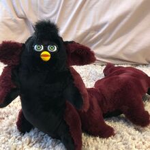 world's longest furby