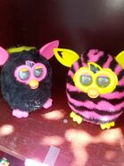 A Straight Stripes Furby Boom with a Punky Pink Furby