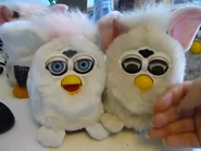 Fooby and furdy.png (202 KB) Fooby (left) and Furdy (right)