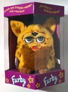 A Spanish Lizard Furby in its box