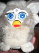 983584652.jpg (76 KB)